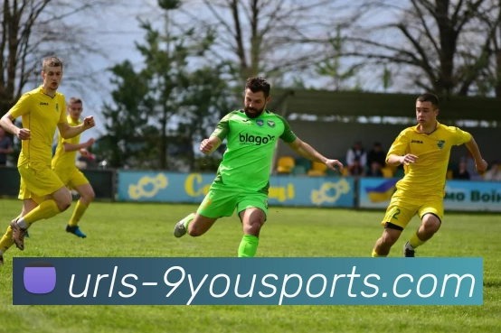 九游体育官网APP 封面图